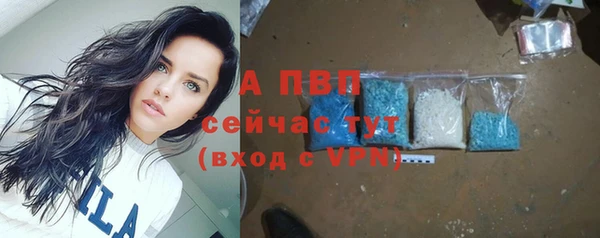 стаф Алексеевка