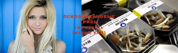 стаф Алексеевка