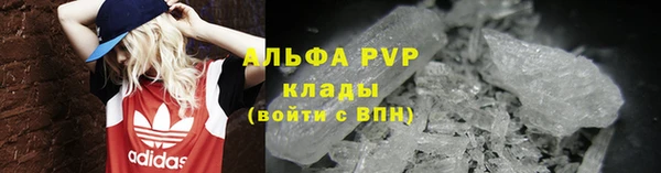 прущие грибы Нефтекумск