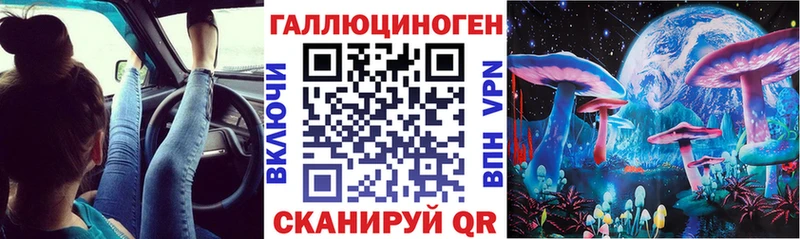 Псилоцибиновые грибы Psilocybe  купить   Севастополь 