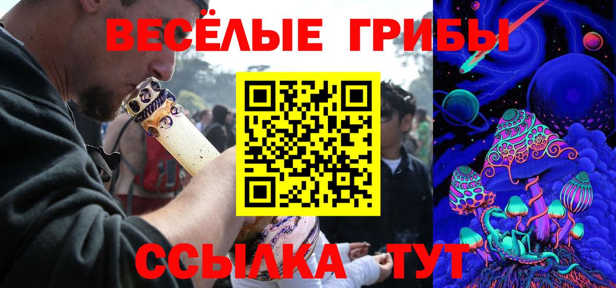 Севастополь  Галлюциногенные грибы прущие грибы  Вход с VPN  Псилоцибиновые грибы прущие грибы 